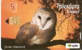 TARJETA DE CHIPRE DE UNA LECHUZA  (OWL) BIRD-PAJARO - Uilen