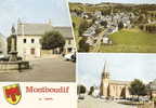 Cantal- Montboudif , Maison Natale De Georges Pompidou Et Vue Aérienne , Ed Photo Sully - Other & Unclassified