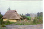 AUBECHIES - Archéosite - Maison Gauloise - Beloeil