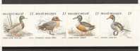 Belgique : Carnet C 19 **  Canards - Entenvögel