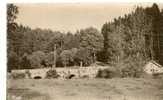 CP 88 MONTHUREUX Sur SAONE Les Sapins Et Le Pont De La Guerre  ( Lavoir Dit " Grande Fontaine )  ) - Monthureux Sur Saone