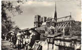 CPSM De Paris   Les Bouquinistes - Mercados