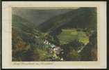 ALLEMAGNE BAD PETERSTAL / Bad Griesbach Im Renchtal / CARTE COULEUR - Bad Peterstal-Griesbach