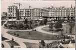 LE HAVRE 76 Square Saint Rock Editions Larcier 1955 Carte Dentelée Véritable Photo - Square Saint-Roch