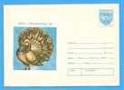 ROMANIA Postal Stationery Cover 1978 .  Pigeon, Dove  Exhibition - Duiven En Duifachtigen