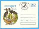 ROMANIA Postal Stationery Cover 1989 . Black Stork Bird Oiseaux - Storchenvögel