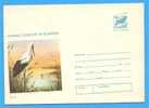 ROMANIA Postal Stationery Cover 1977 .  Stork Bird Oiseaux - Storks & Long-legged Wading Birds