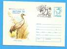 ROMANIA Postal Stationery Cover 1993 .  Crane, Grus Grus, Bird, Oiseaux - Cigognes & échassiers