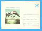 ROMANIA Postal Stationery Cover 1977 Danube Delta, Bird, Oiseaux Pelicans, Pelican - Pélicans