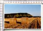 PONT SAINT PIERRE Et Ses Environs -   Après La MOISSON - Landwirtschaftl. Anbau