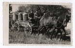 AGRICULTURE - Village Scene, Fruit Picking, Real Photo - Cultures