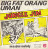 Alex RAYMOND (USA). JUNGLE JIM. Illustration Pochette Disque. BIG FAT ORANG UMAN + Neasden Melody. Années 70. RARE ! - Dischi & CD