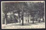 CPA  PRECURSEUR- FRANCE- FONTENAY-SOUS-BOIS (94)- LA GARE ET LE KIOSQUE A MUSIQUE EN 1900- BELLE ANIMATION - Fontenay Sous Bois