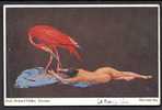 CPA  ANCIENNE- ALLEMAGNE- ILLUSTRATION SIGNÉE : MÜLLER- L´IBIS ROUGE ET LA FEMME NUE- SUPERBE ! - Mueller, Richard