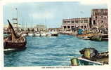 NORTH BERWICK HARBOUR - East Lothian - SCOTLAND - East Lothian