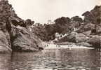 Bouches Du Rhone - La Ciotat Plage De Figuerolles En 1963 - La Ciotat