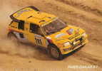 Sports , Le Rallye Paris Dakar 1987 Voiture Peugeot Turbo 205 16, Vatanen, Giroux , Mehta Doughty - Autres & Non Classés