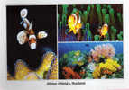 Water World. Thailand.  Carte Originale Neuve De Thailande - Fish & Shellfish
