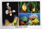 Water World. Thailand.  Carte Originale Neuve De Thailande - Poissons Et Crustacés