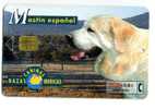 MOBICARTE RAZAS CANINAS IBERICAS 15 MASTIN ESPANOL CHIEN - Collections