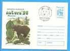 ROMANIA Postal Stationery  Cover 1996. Bear, Ours Ursus Arctos - Ours