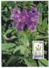 LIECHTENSTEIN. 1993. Grossblütige Brunelle / Prunella Grandiflora. - Oblitérés