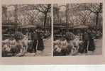 PARIS  LE MARCHE AUX FLEURS - Stereoscope Cards