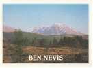 Ben Nevis From Leanachan Forest - Inverness-shire