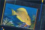 Fish Poisson Blue - Lined  Surgeonfish  Australia Expo 88 - Pesci E Crostacei