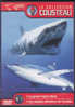 Dvd Zone 2 La Collection Cousteau Volume 01 Neuf Le Grand Requin Blanc Les Requins Dormeurs Du Yucatan - TV Shows & Series