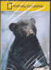 Dvd Zone 2 National Geographic Neuf Les Bébés Animaux NGT 2000 - Séries Et Programmes TV