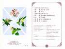 Folder Taiwan 1991 Plant Stamps Flower Flora 4-3 Plants - Ongebruikt