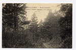 Q17 - SAINT-LEU-la-FORÊT - Route Forestière De Saint-Leu à Baillet (ancienne Voie Romaine - 1925) - Saint Leu La Foret