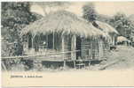 A Native Home  Undivided Back - Jamaïque