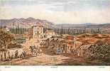 PALESTINE , Jericho , Illustrationde F PERLBERG , *4890 - Palestine