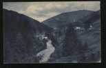 4085-T.C.I.-GRANDE ESCURS. NAZ. ALPINA NEL CADORE-1913-FP - Klimmen