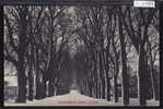 Aubonne Promenade Du Chêne - L´Hiver ; Photo E. Calame (1788) - Aubonne