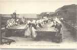 PORT-LOUIS - Femmes Des Usines Mettant Leurs Sardines à Sécher - Port Louis