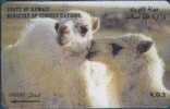 # KOWEIT 32 Two White Camels Kd3 Gpt -animal,chameau,camel-  Tres Bon Etat - Koweït