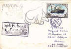 BEARS OURS,  Obliteration On Cover Expedition Polaire 1981 Russia. - Ours