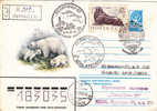 BEARS OURS,  Obliteration Registred  Cover Expedition Polaire 1985 Russia. - Bears