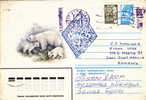 BEARS OURS,  Obliteration  Cover Expedition Polaire 1984 Russia. - Bears
