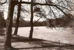 Val De Marne - Vincennes , Lac Daumesnil, Ed Yvon - Vincennes