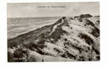 OLD FOREIGN 4644 - THE NEDERLANDS  - Groeten Uit Scheveningen - Onze Duinen - Scheveningen