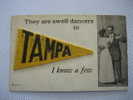 Tampa Fl     Felt Pennent Swell Dancers In Tampa   1913 Cancel - Tampa