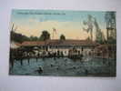 Tampa Fl     Swimming Pool Sulphur Springs   Circa 1907 - Tampa