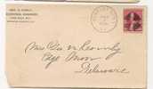 US - 3 - 1891 VF COVER From NEWPORT NEWS To EDGE MOOR DELAWARE (Reception At Back And WASH.D.C. Transit) - Cartas & Documentos