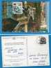 A-42 JUGOSLAVIA NATO BOMBARDA TARGET PONTI  POSTAL CARD INTERESSANTE - Lettres & Documents