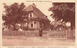 68.haut Rhin :  Winttenheim - Cité : Maisons Ouvrieres De La Mine Théodore . - Wittenheim