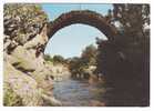 Environs De SAINT JEAN DU GARD, Gard :le Pont Des Chèvres à L'Estrechure;TB - Saint-Jean-du-Gard